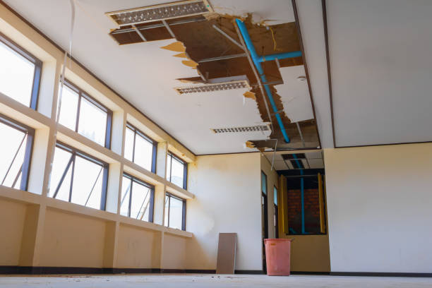 Reliable Pleasanton, TX Water damage restoration Solutions