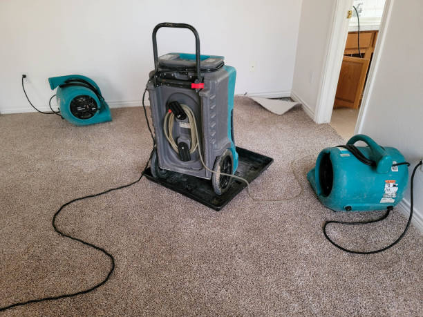 Best Sewage cleanup and water damage restoration  in Pleasanton, TX