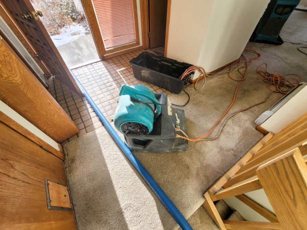 Best Commercial water damage restoration  in Pleasanton, TX