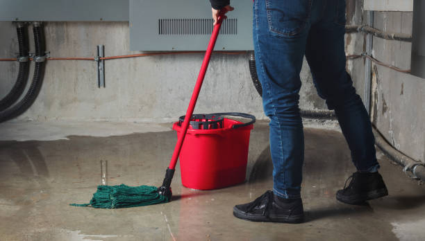 Best Fire Damage Restoration  in Pleasanton, TX