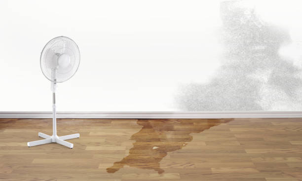 Best Commercial water damage restoration  in Pleasanton, TX