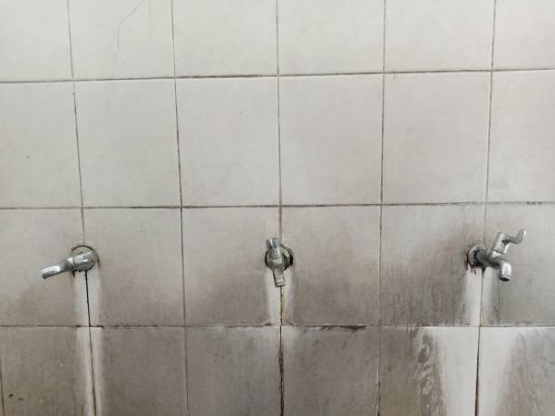Best Ceiling water damage repair  in Pleasanton, TX