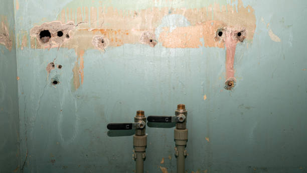  Pleasanton, TX Water damage restoration Pros