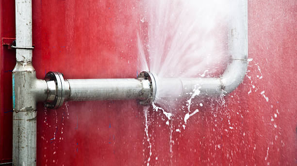 Best Basement water damage restoration  in Pleasanton, TX